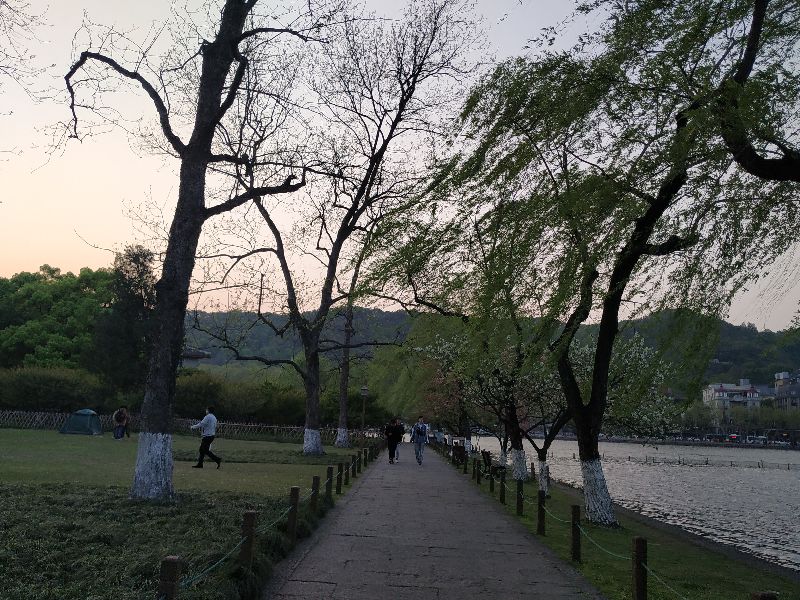 林逋隐居西湖孤山,林逋隐居杭州孤山阅读答案