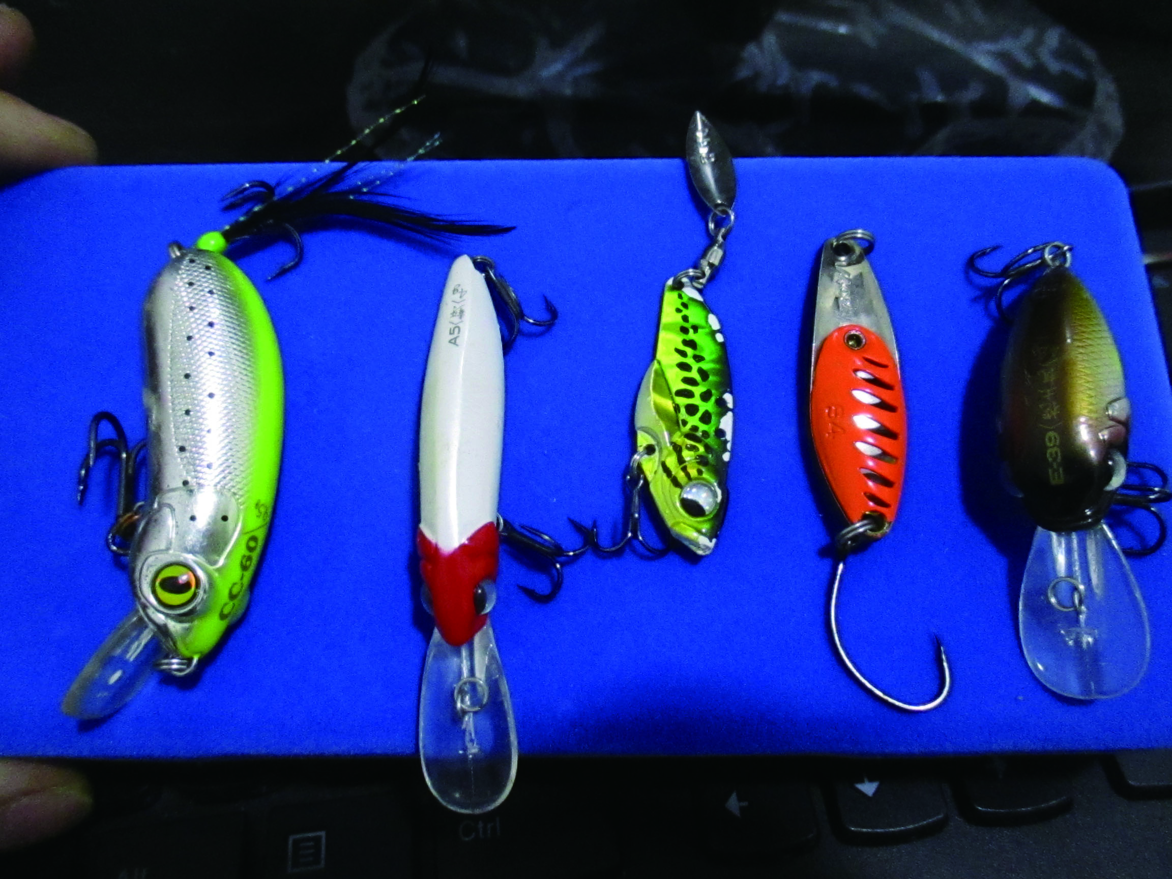 玩路亚第一天上鱼,玩路亚几年的变化