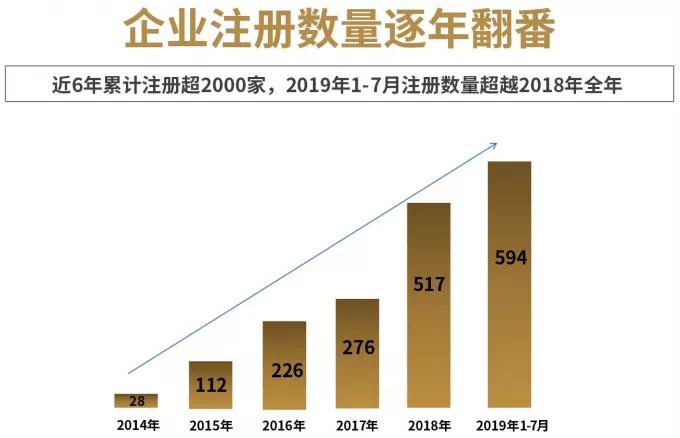 深圳第11区,深圳市第11区