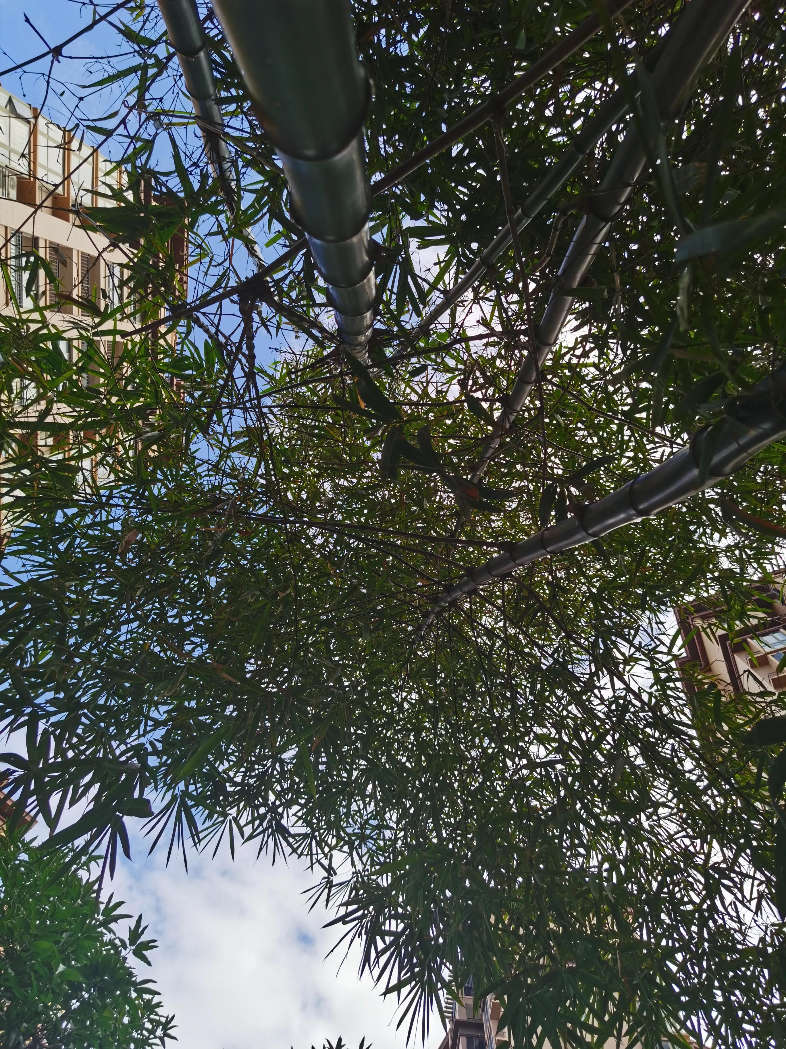 买房时注意千万别买这几层,租房买房注意事项