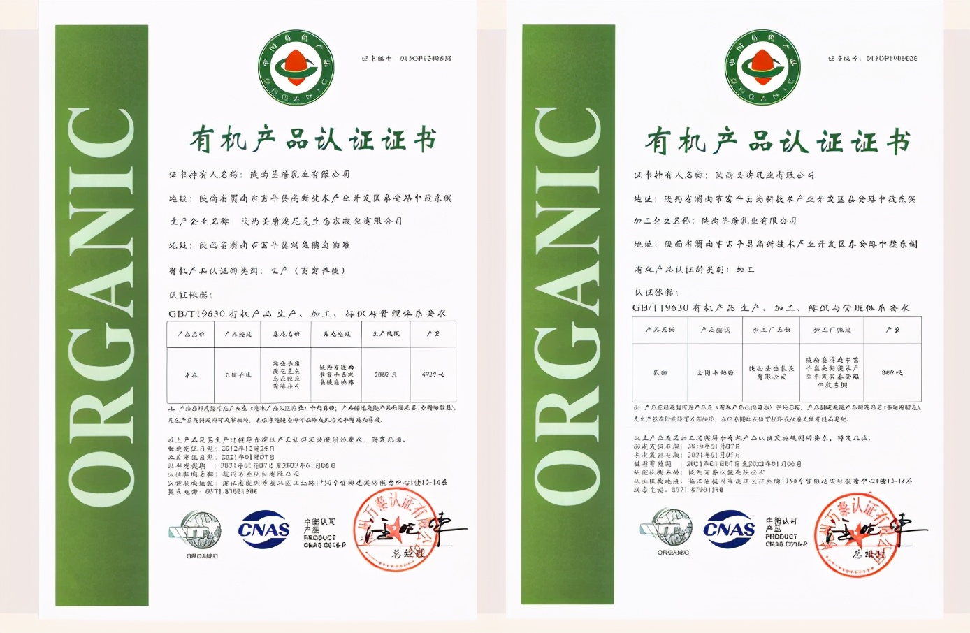 圣唐乳业讲解视频,圣唐乳业测评