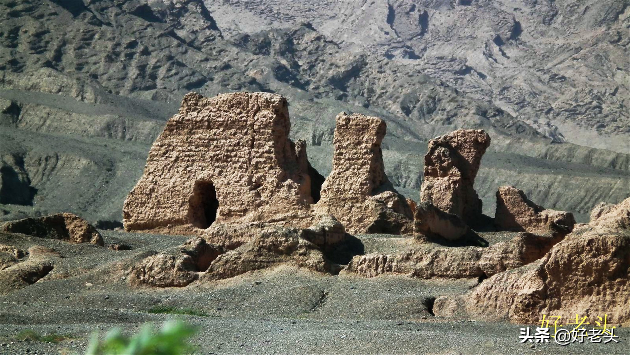 库尔勒轮台胡杨林风景区,胡杨林景区轮台