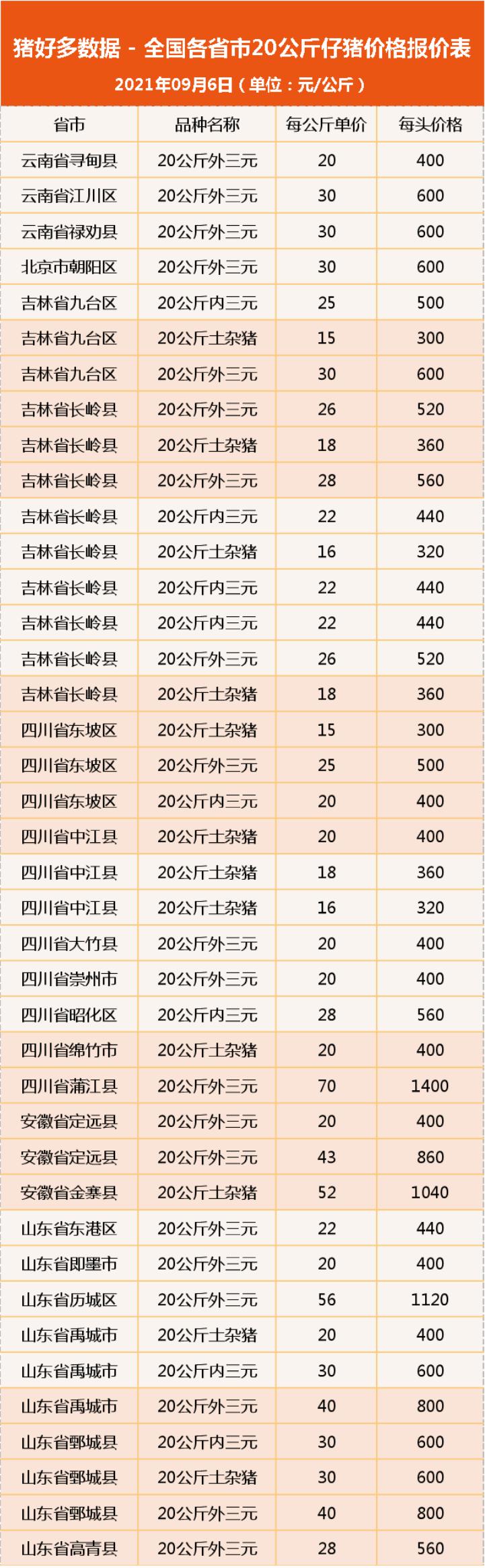 生猪市场哀鸿遍野,仔猪一窝亏千元,养殖户:现补栏年底有赚吗?