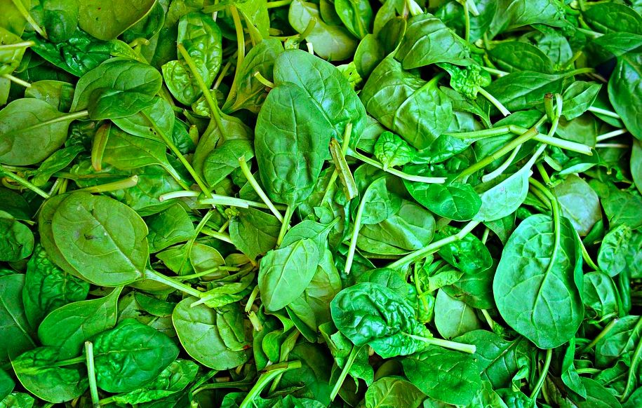 这么贵的车厘子一定要吃出高级感,这么贵的车厘子值得买吗