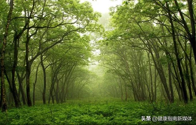 呼吸暂停常见治疗办法,常见的呼吸模式有哪几种