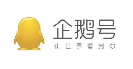 新媒体运营平台招商,怎么运营新媒体平台