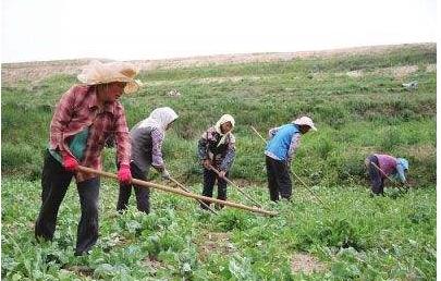 农民遇到蛇怎么办,进山里怎么预防被蛇咬