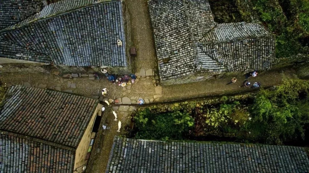 宁海春节哪里好玩,宁海春天旅游景点推荐