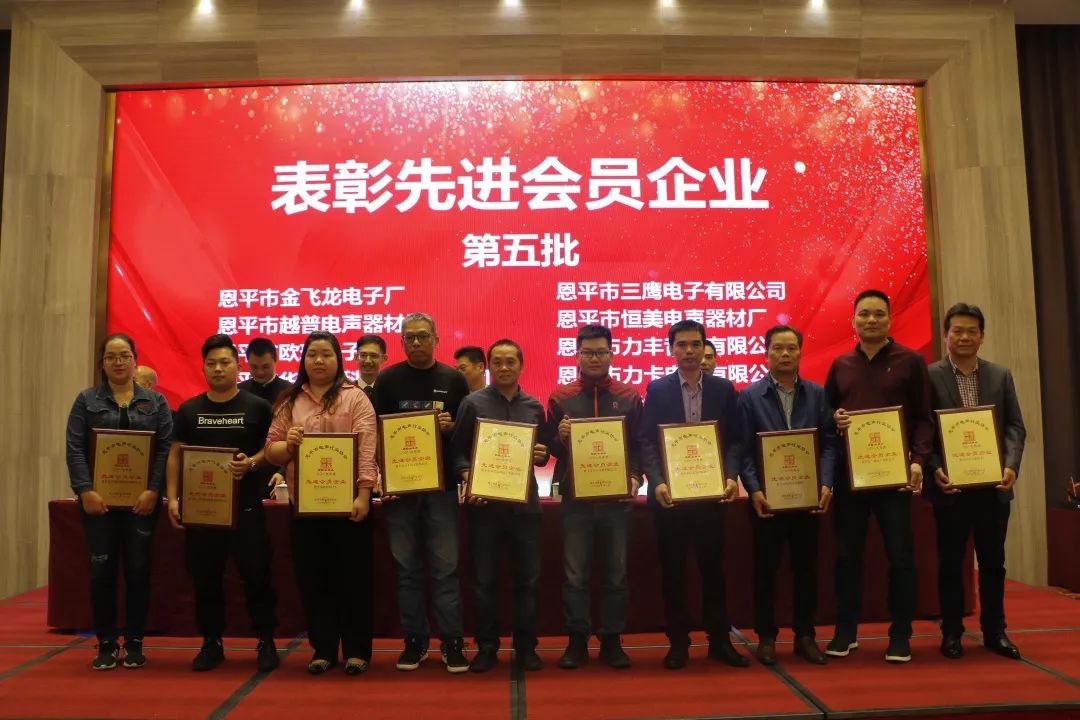 恩平电声行业协会成员,恩平协会