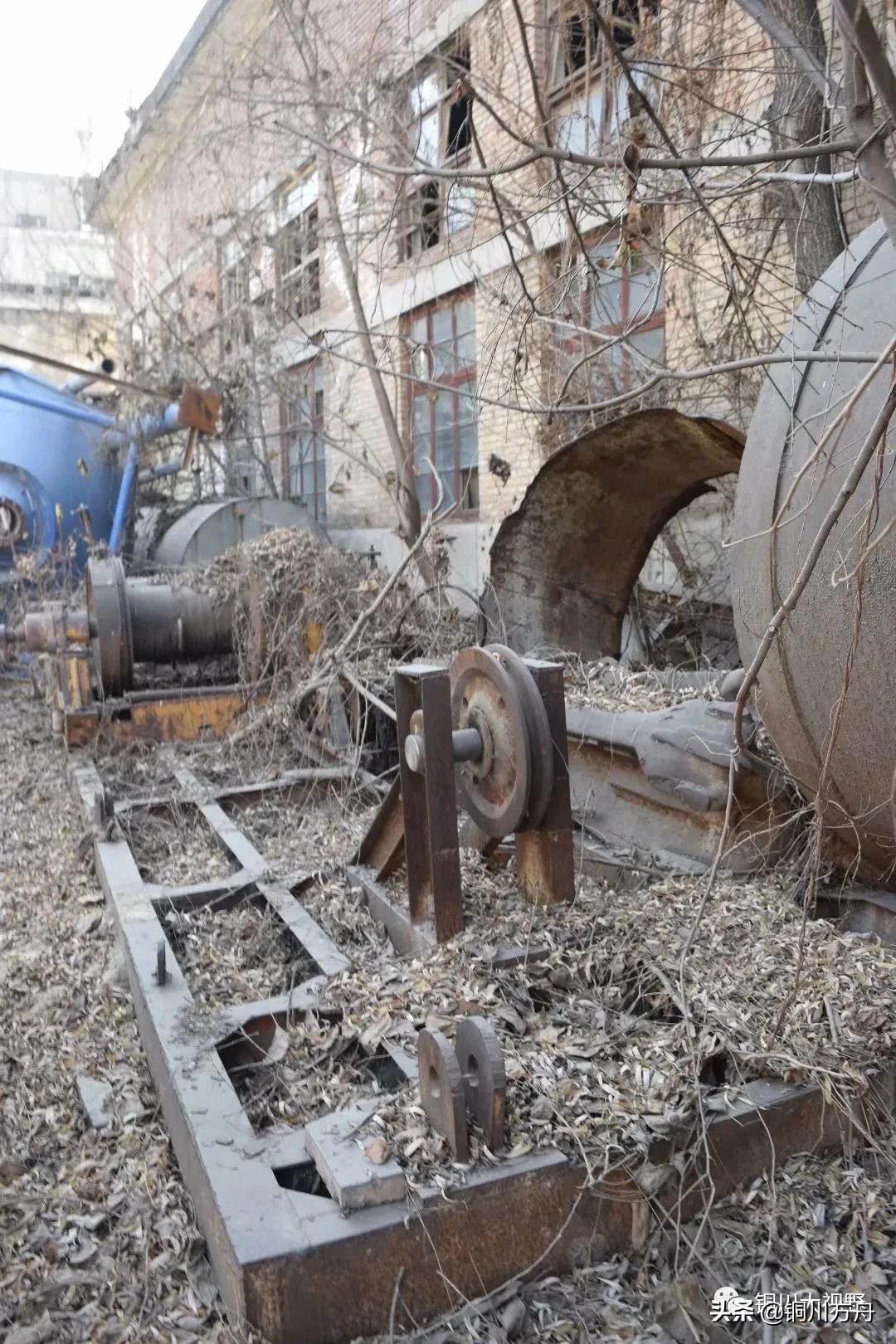 还记得当年啤酒的味道吗,铜川有什么啤酒品牌