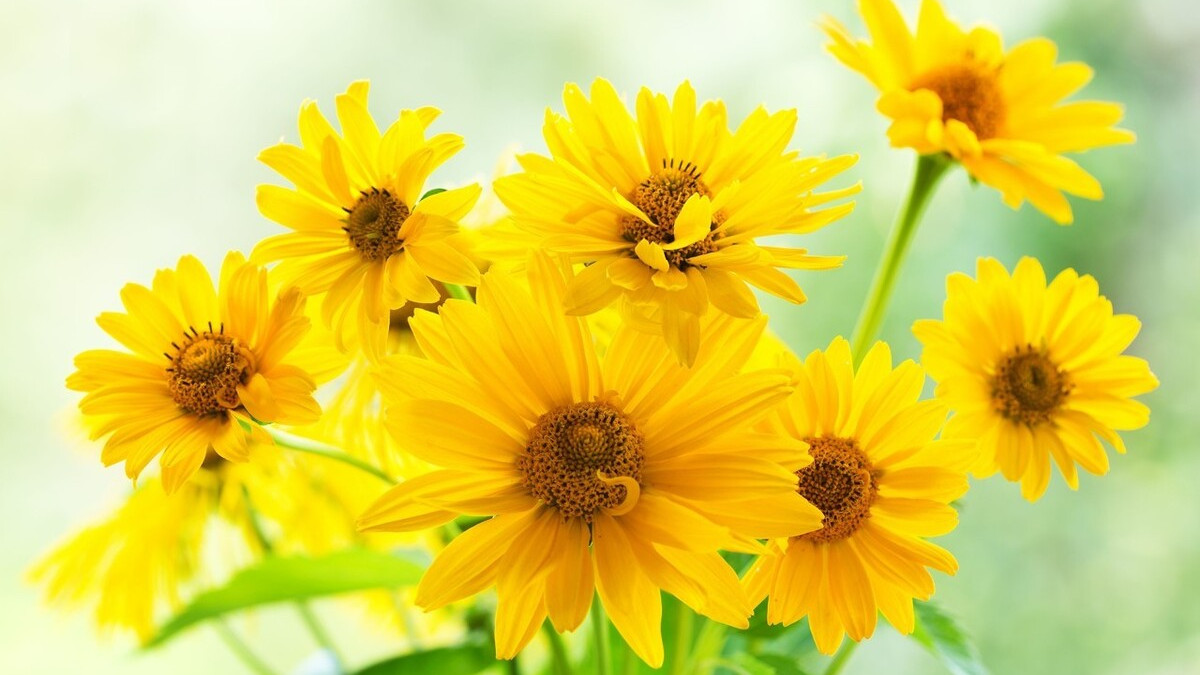 令公桃李满天下,何用堂前更种花。读古诗词,致敬辛苦的园丁