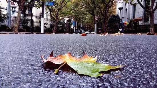 4+7指的是什么带量采购,4+7带量采购什么时候实行的