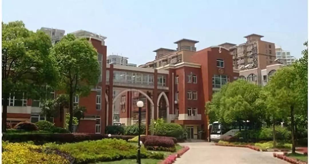 上海新晋10所黑马小学大盘点,上海最出名的十所小学