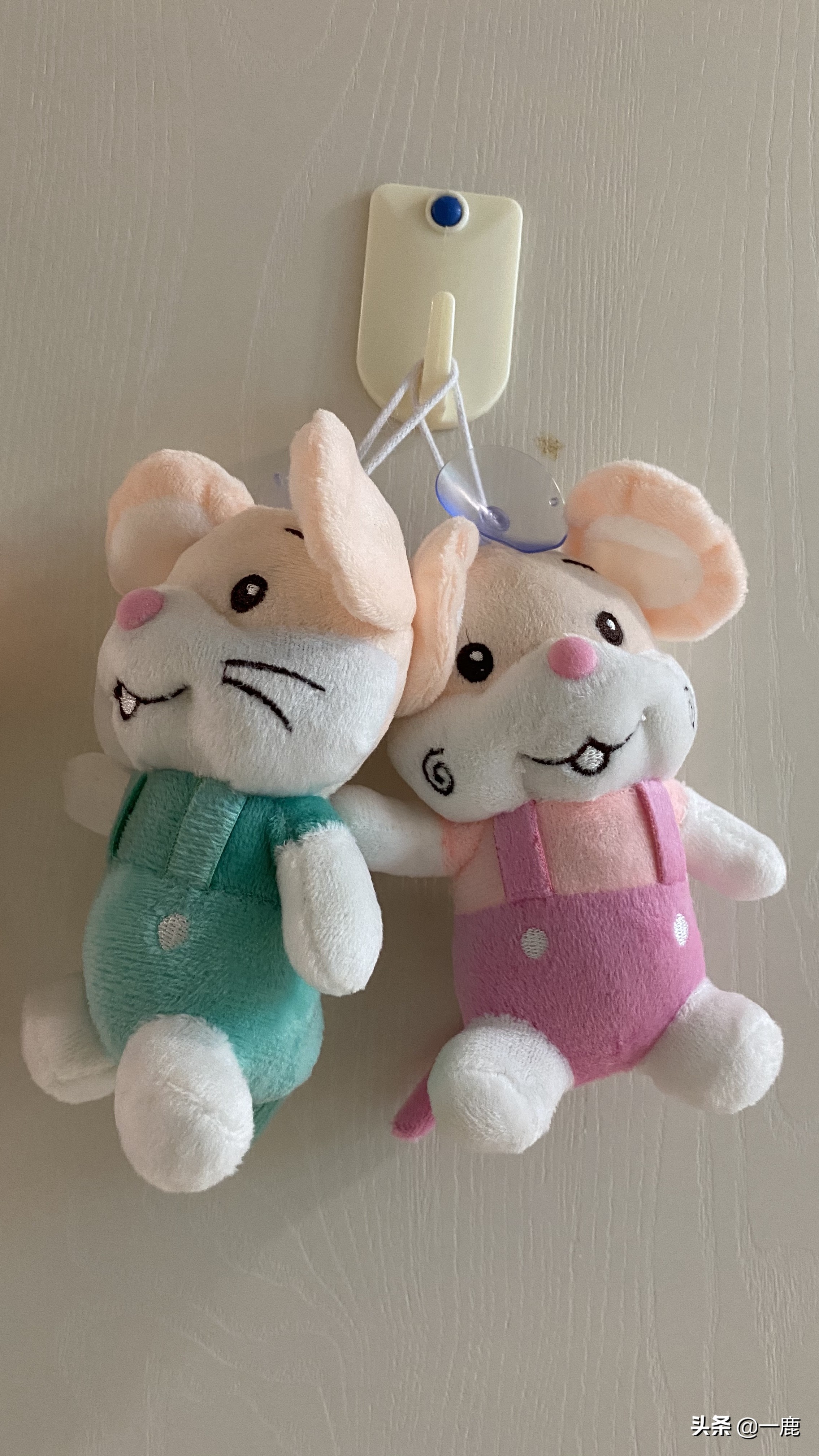 上海市长宁区妇幼保健院预约挂号,上海妇幼保健院和人民医院哪个好