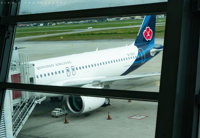 槟城华人姓氏视频,马来西亚槟城文化及风土人情