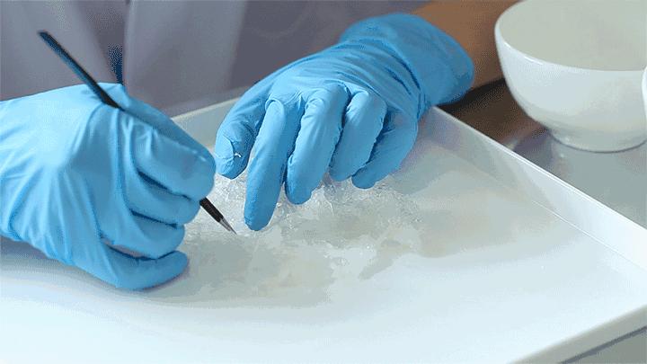 为什么干燕窝泡发后不但有细毛还有其他的杂质?这是假的吗?