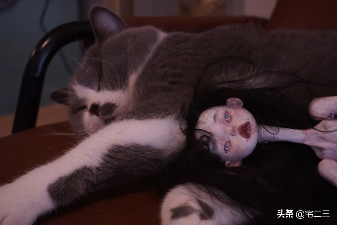 景德镇年轻人外出打工的多吗,景德镇为何成为年轻人的治愈地