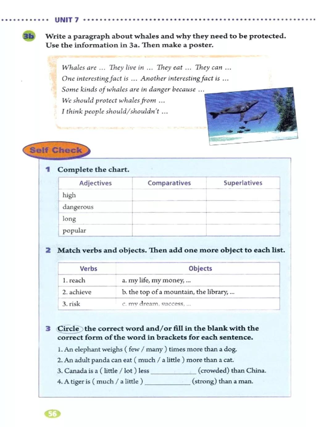 奇速英语小学生阅读,八年级下册英语原创新课堂电子版