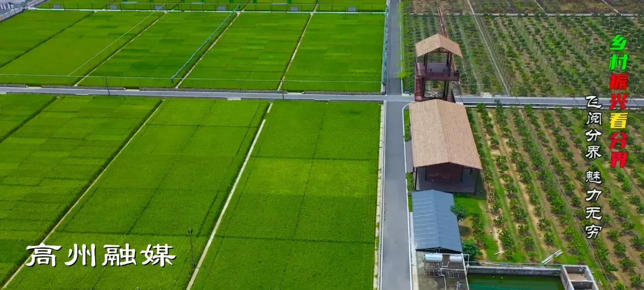 飞阅系列,飞阅新闻最新消息