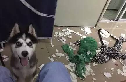 女神节将至,小伙把女友全部口红融化成一支,那些直男送的沙雕