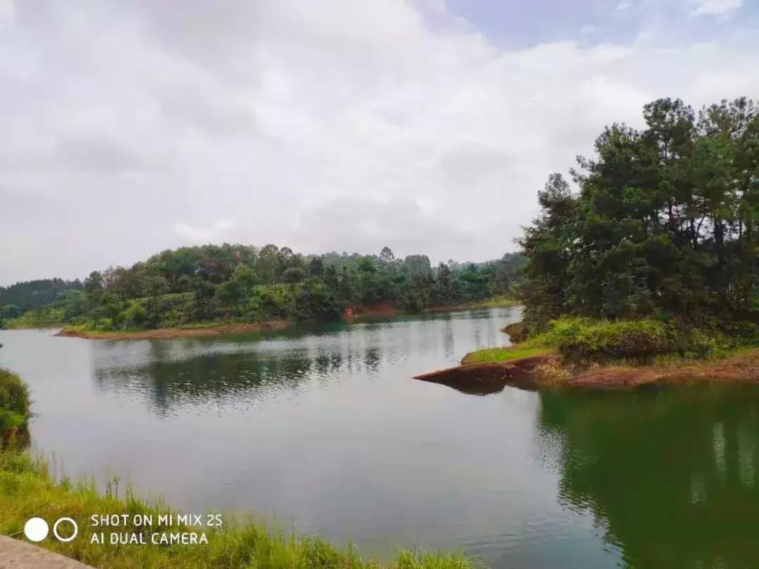 10块钱能吃遍宜宾这个镇？还有这些城头人不晓得的…