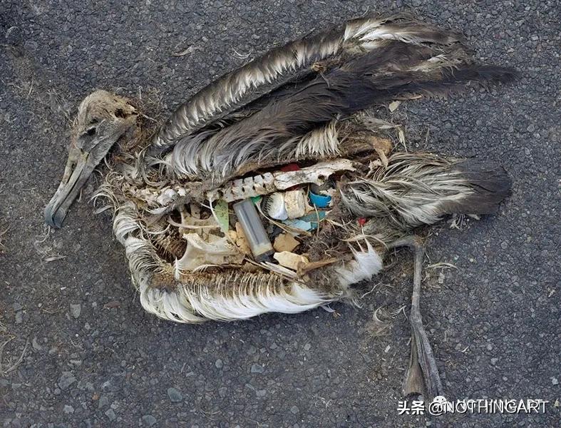 给明星做造型的“垃圾”行为艺术家?雷人背后的那一份深刻……