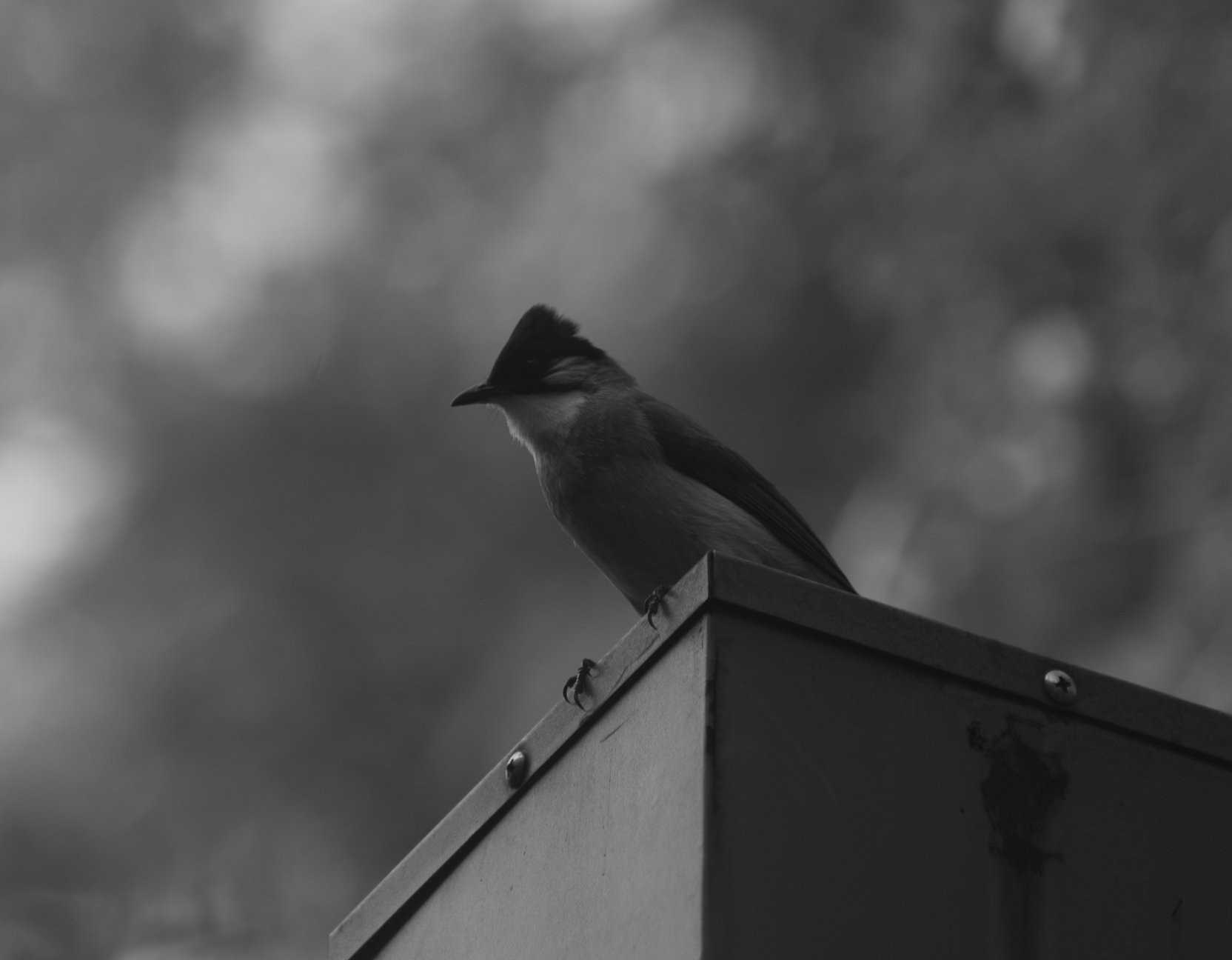 1000多的二手单反值得买吗,1000元左右二手单反全画幅