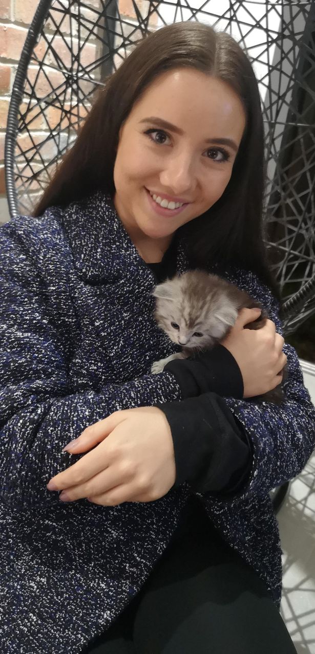 女子被流浪猫感染,外国妹子被寄生虫感染