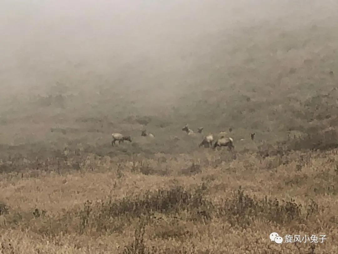 加州沿海1号公路,加州沿海一号公路一日游推荐