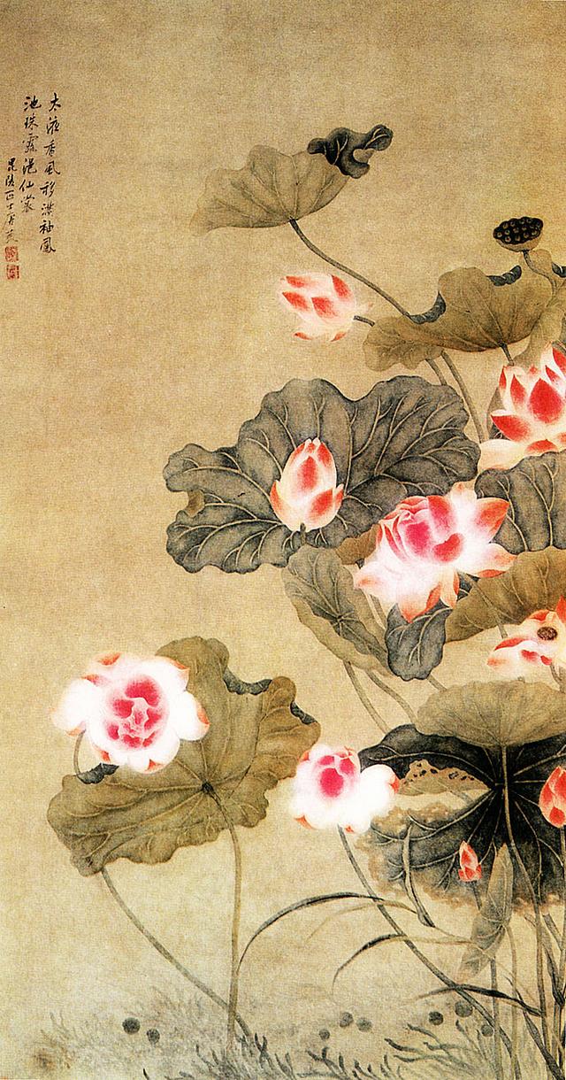 「转」这么美的荷花，千年荷韵