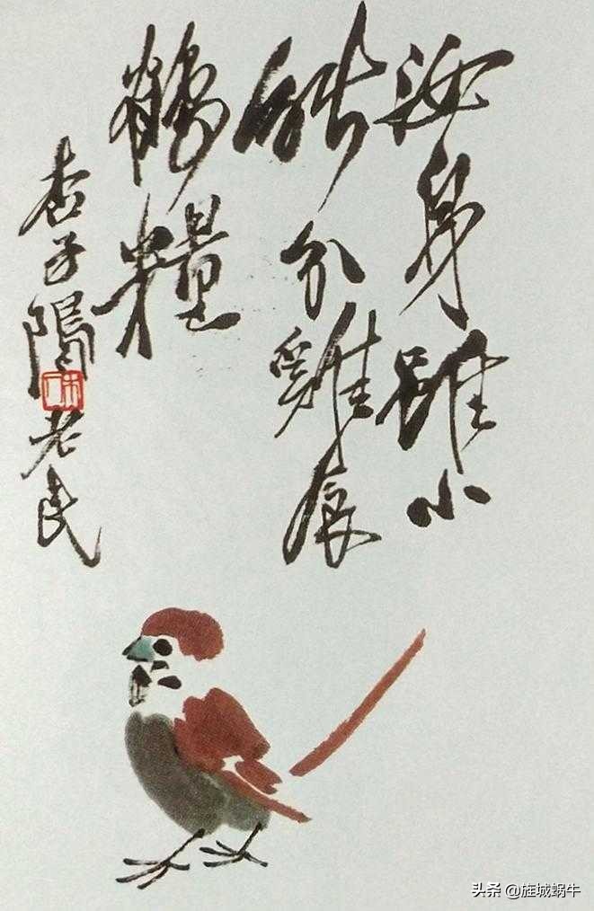 一学就会的禽鸟画法书,禽鸟的画法大全图解