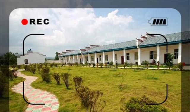 农村创业赚钱项目,分享三个适合农村创业赚钱小项目