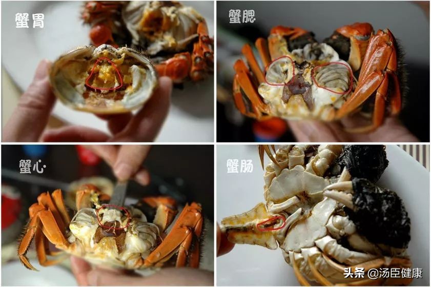 一只螃蟹把一个人吃得只剩下半身,一只螃蟹把另一只螃蟹给吃了