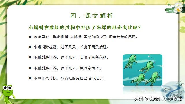 小蝌蚪找妈妈课程分享ppt,小蝌蚪找妈妈ppt教师讲解视频