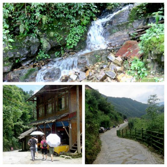 榫欒剨姊敯鏀荤暐鍙嶆淳,榫欒剨姊敯鎬紓