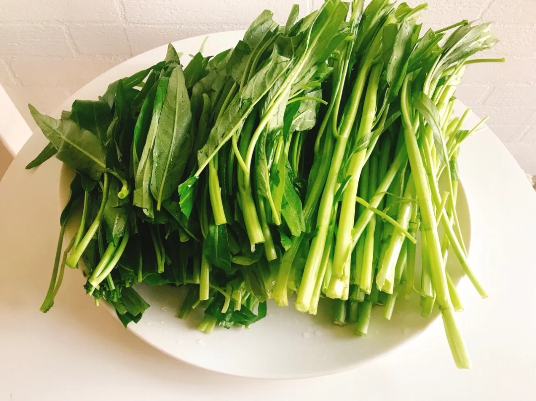 腐乳空心菜的家常做法视频,空心菜用腐乳怎么做好吃视频教学