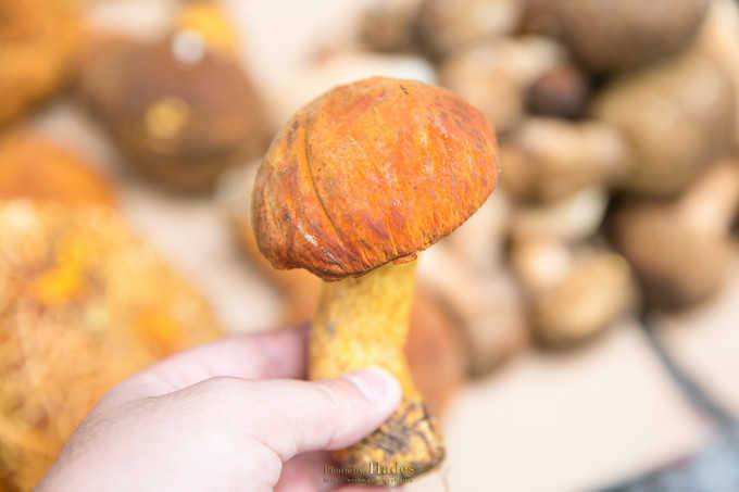 朝天三天旅游攻略,朝天区旅游攻略自驾游