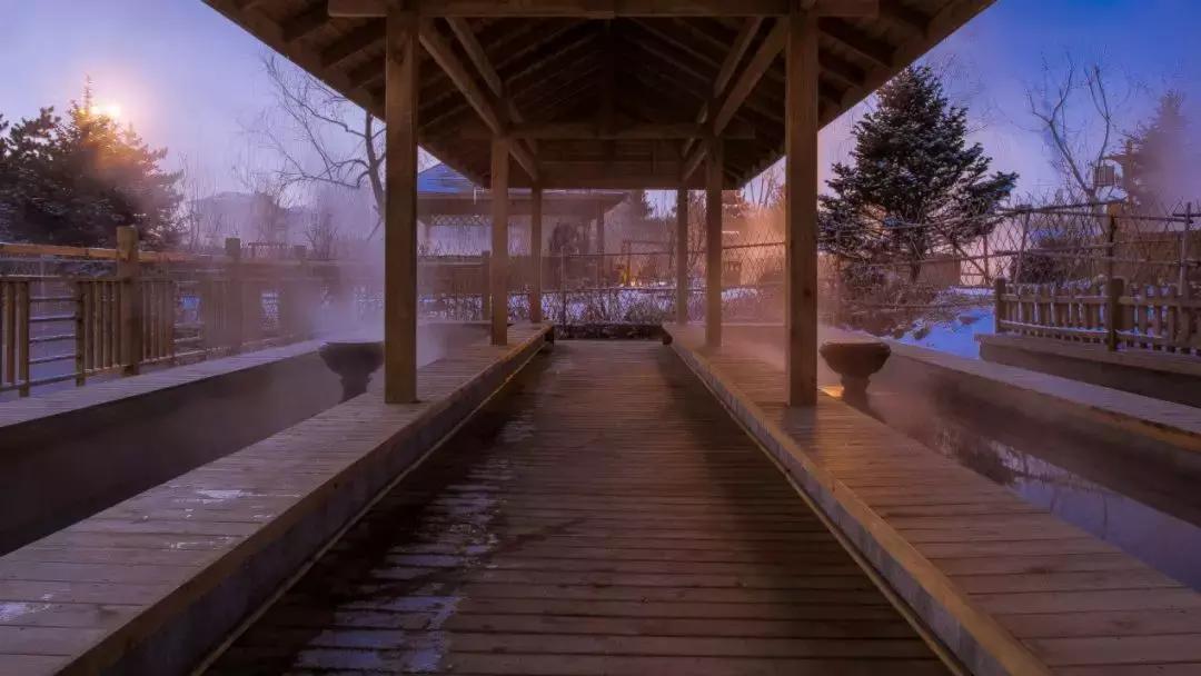 2024沈阳文旅项目,文旅项目能做吗