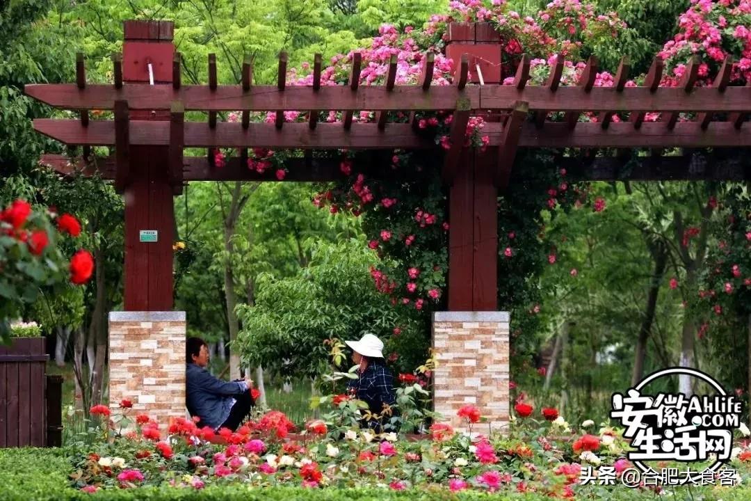 2020年，在这50个地方遇见不一样的合肥