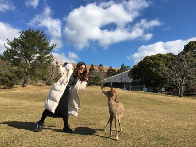 日本大阪城攻略,大阪日本攻略