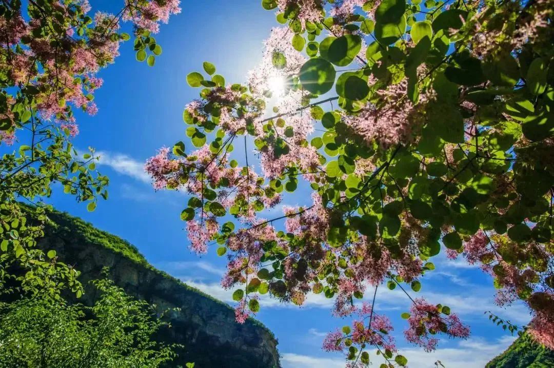 出行安全宝典,北京旅游安全攻略