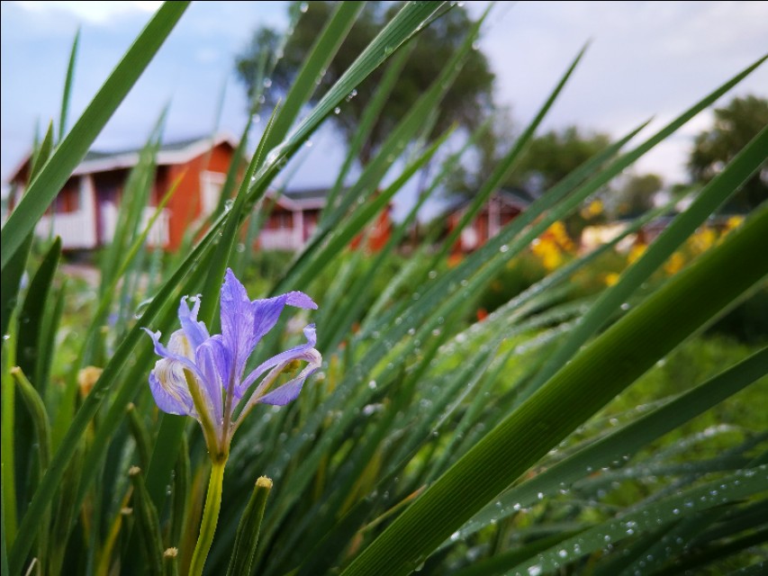 坝上草原沐野农庄,丰宁坝上草原花语云朵民宿