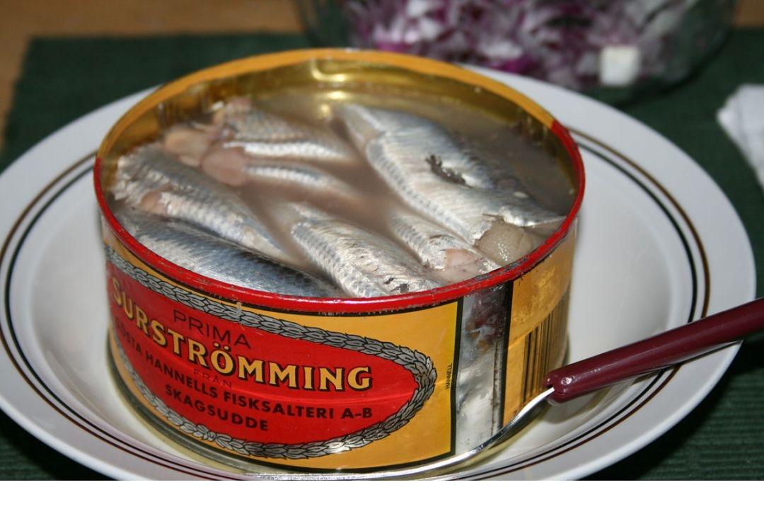 看完俄罗斯的下酒菜,看俄罗斯人冰天雪地喝酒吃肉