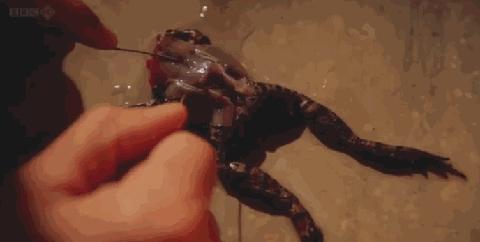 高端示波器的国内外发展现状,目前示波器的发展