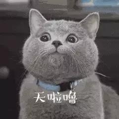 内幕曝光！650%暴利！大量代购物流，发票，刷卡单全套造假