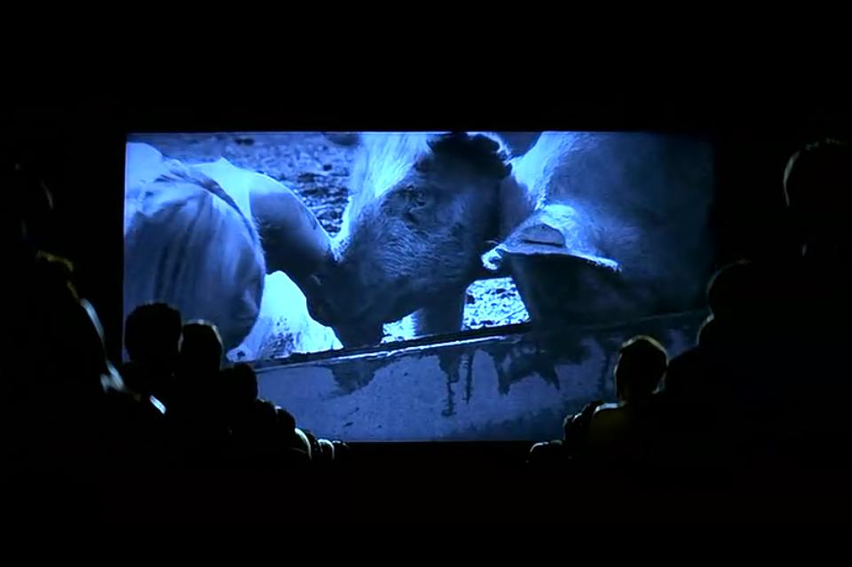 致命性感,“人造美女”被亿万人追捧,但竟无人发现她是假人!