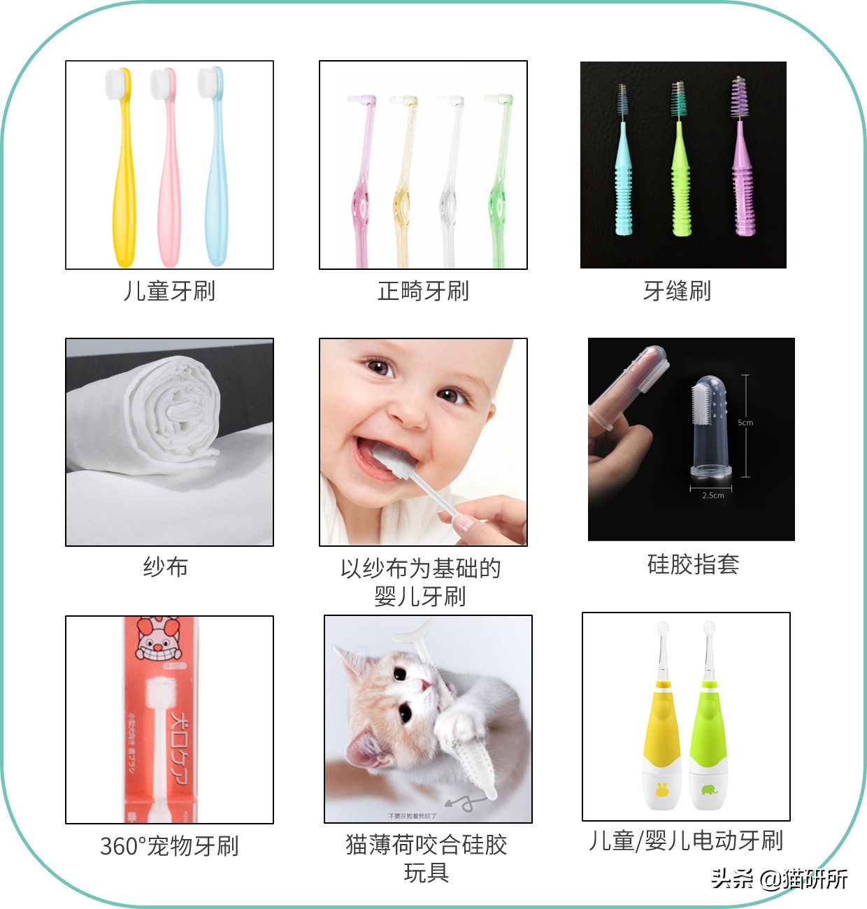 如何给猫咪选牙膏,如何给猫咪选择洁齿产品