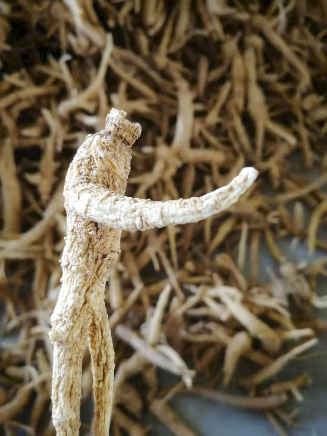 行走在乡村的感悟,行走在乡间感悟