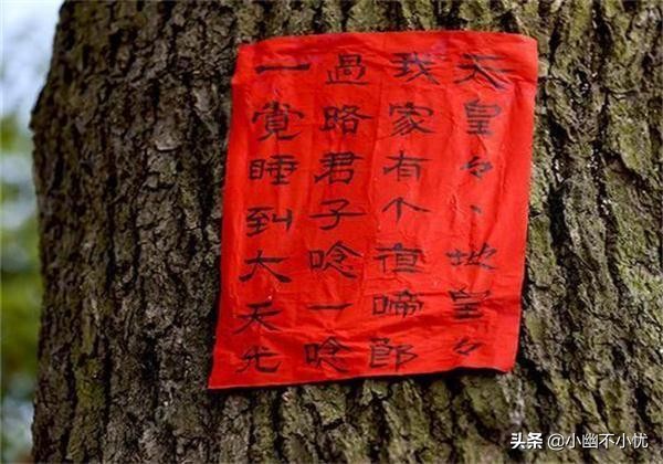 万物皆有灵万事大吉,万物皆符