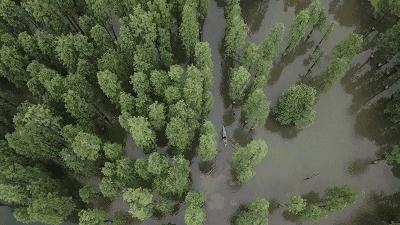 浙江最美山顶露营地,浙江缙云周边露营地推荐